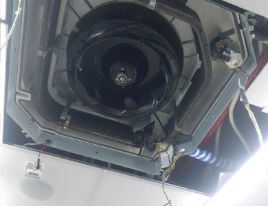 Bảo trì hệ thống lạnh cho cty Pharmacty